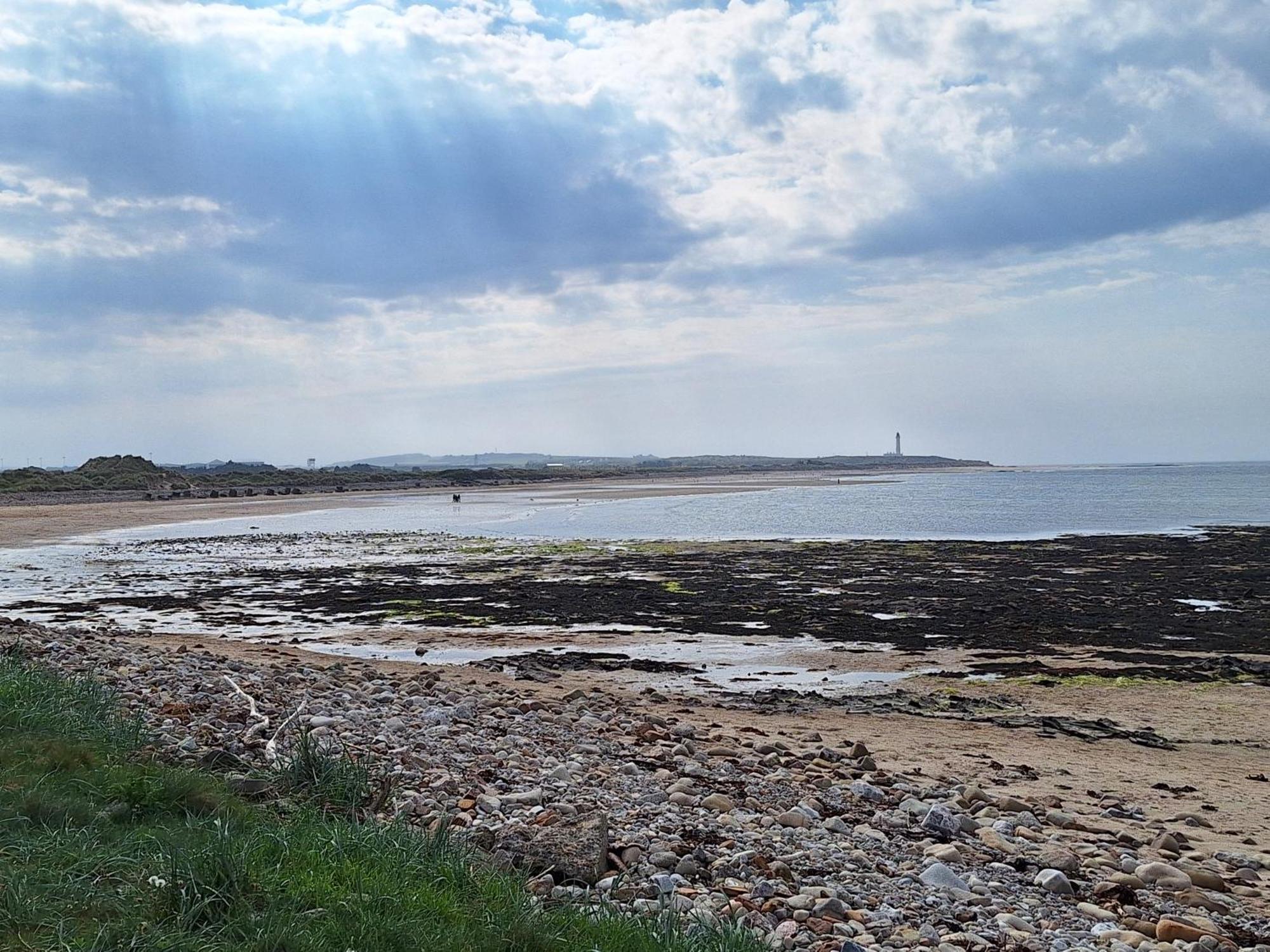1 Fulmar Road**Next To West Beach And Golf Course ロジーマス エクステリア 写真